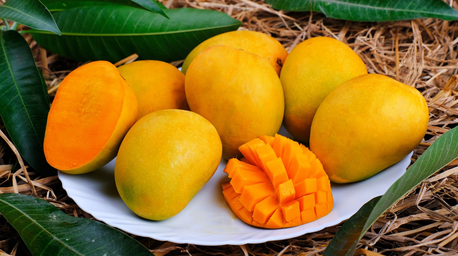 Mangoes Have Four Health Benefits That You Can Get From Eating Them