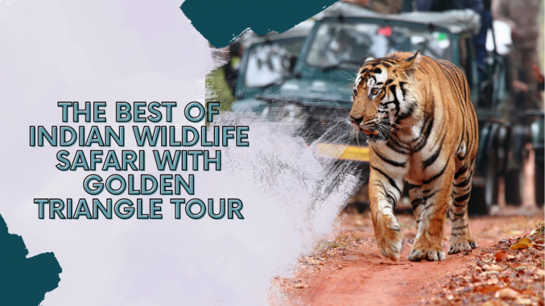 The Best Of Indian Wildlife Safari With Golden Triangle Tour