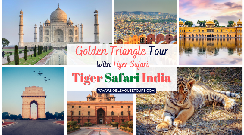 Golden Triangle Tour With Tiger Safari Tiger Safari India